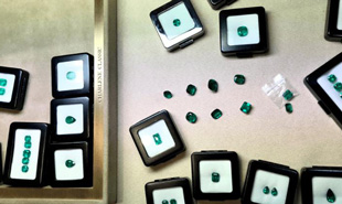 Michael Gad Emerald chooses CHARLENE as its exclusive partner